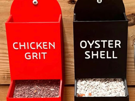 🪶 Chicken Grit vs Oyster Shell: Do Chickens Really Need Both?