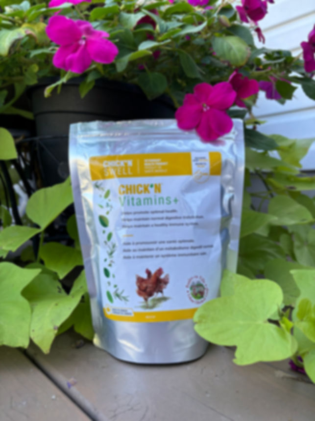 Chick' N Vitamins supplement for chickens