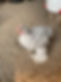 IMG_5662.jpeg