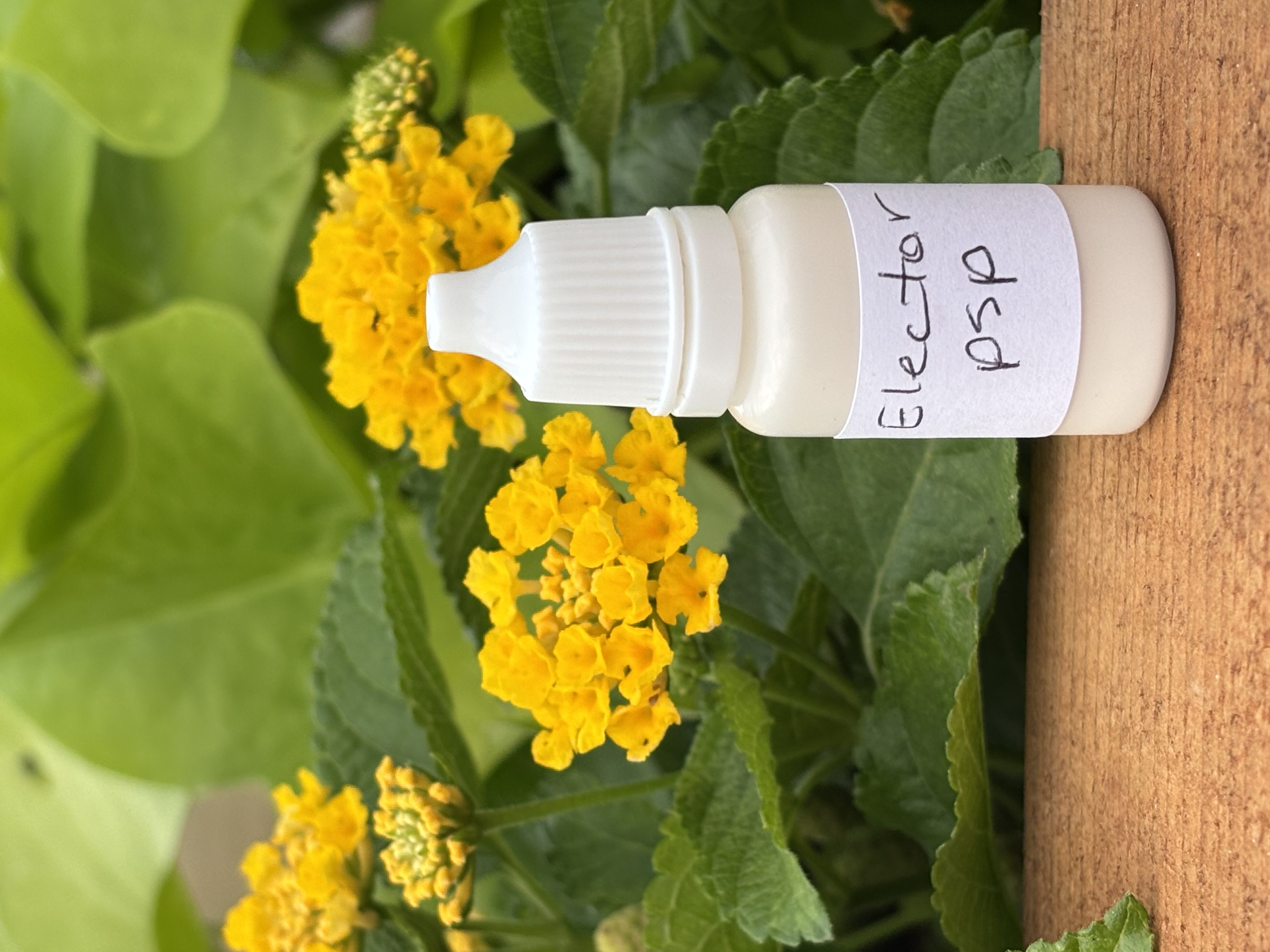 Aluminum Beverage Can