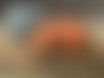 The Science of Egg Production: What Commercial Poultry Research Reveals for Backyard Flocks