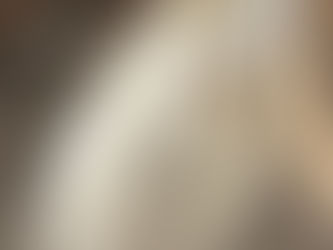 How To Keep Your Chickens Immune System Strong