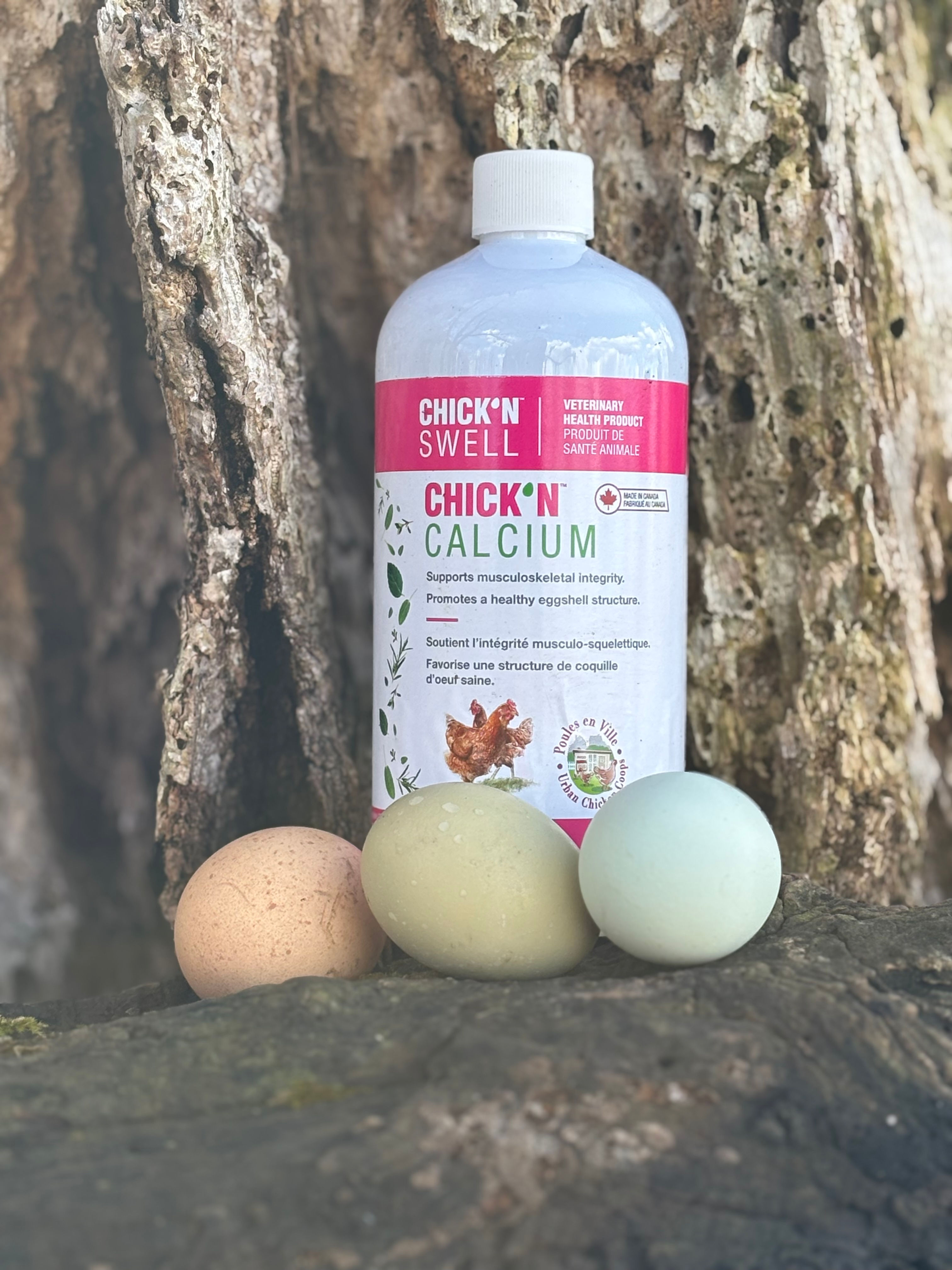 Chick' N Calcium supplement for hen bone health and stronger eggs