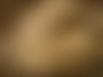 The Truth About Cracked Corn and Scratch Grains in Winter: What Your Chickens Really Need