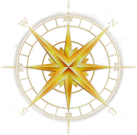 World_intelligence_network_logo (2)_edited.png