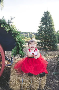 6dbe8886360ec3ee205a15f69f32cac0-large.jpg