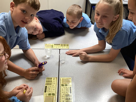 Year 4 science