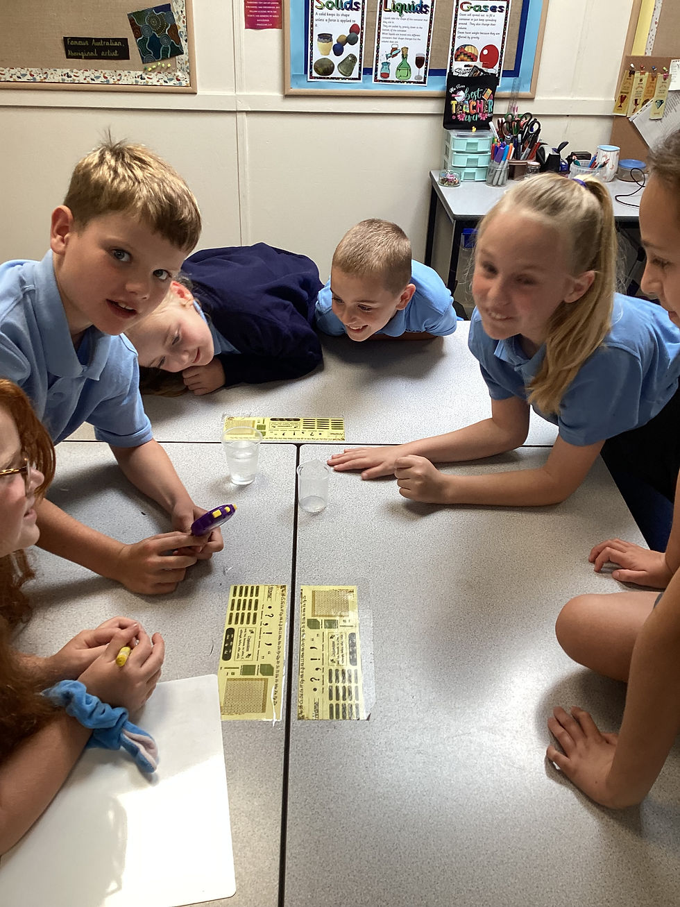 Year 4 science