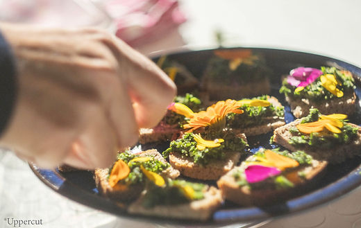 Apéritif sauvage photo2.jpg