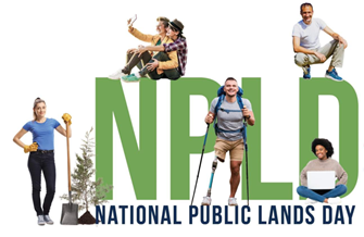 NPLD logo.png