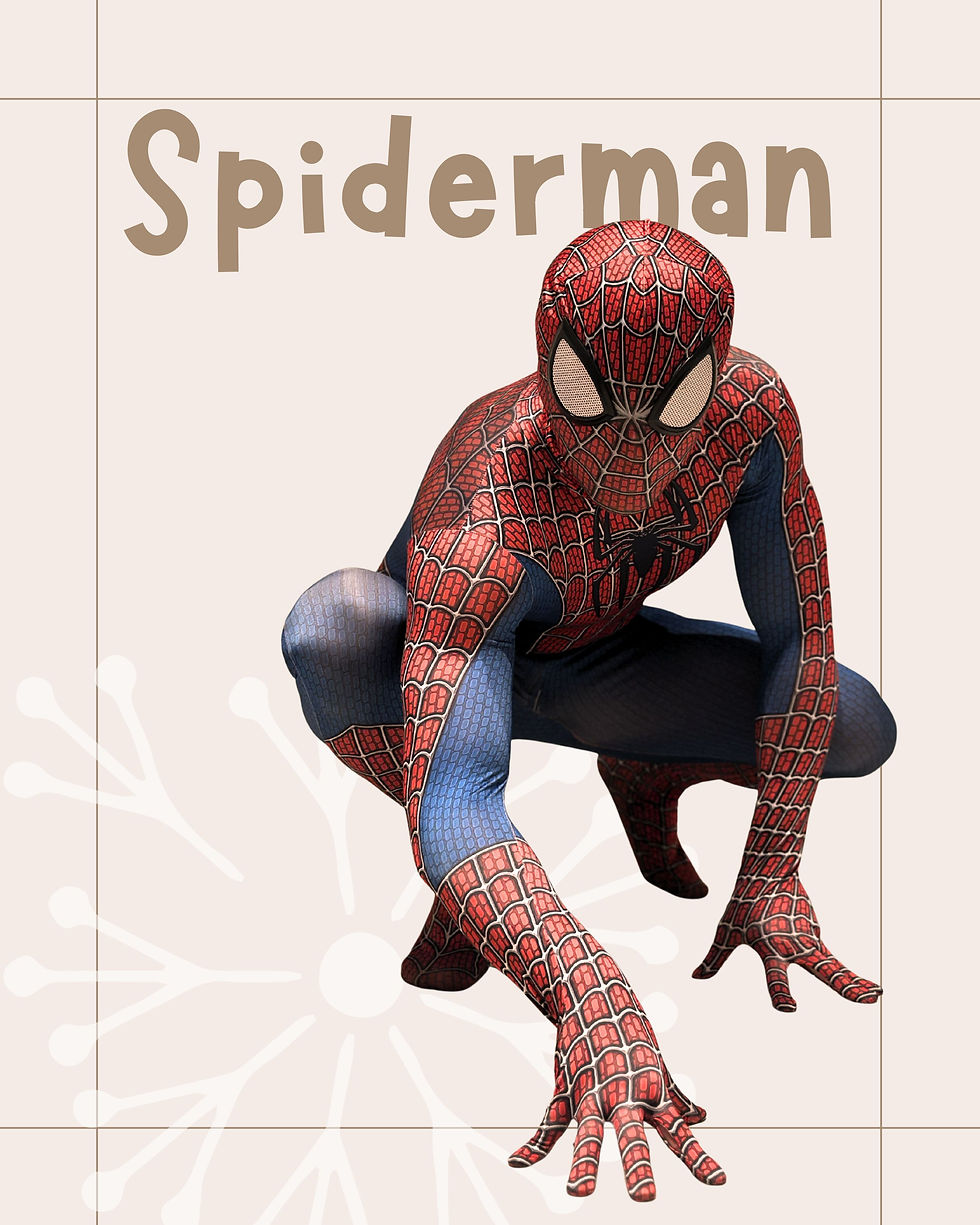 I nostri eroi: Spiderman
