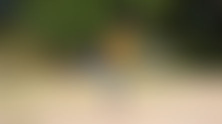 “Tá Pensando que Tudo é Futebol?”: cronista Franciel Cruz apresenta livro autoral no Orora Bar, dia 15 de junho