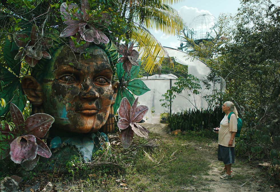 Imagem: Reprodução/ Tereza (Denise Weinberg) em “O Último Azul”