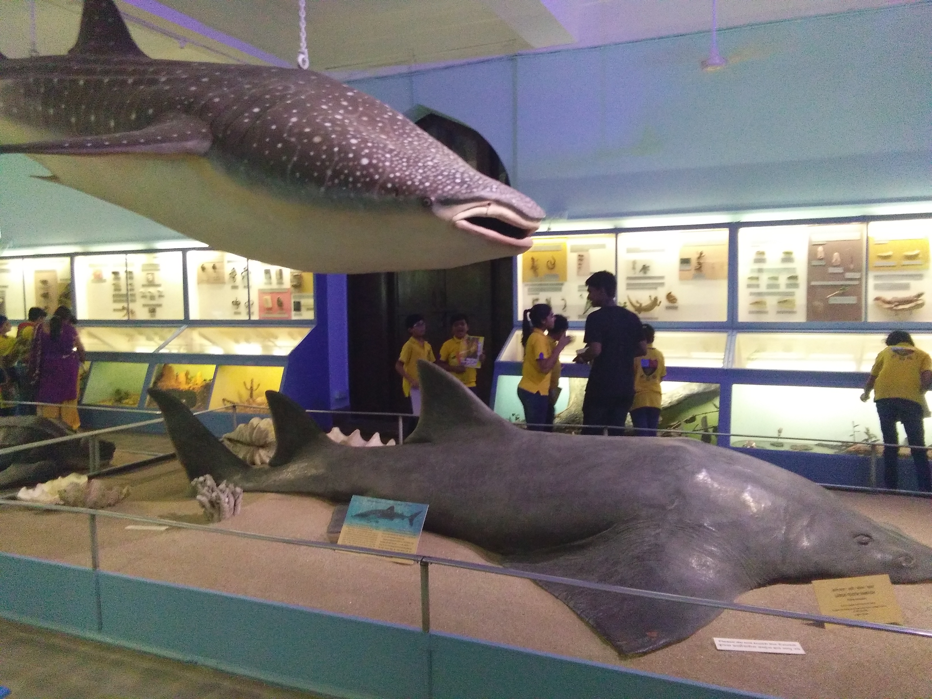 GDS Museum Tour