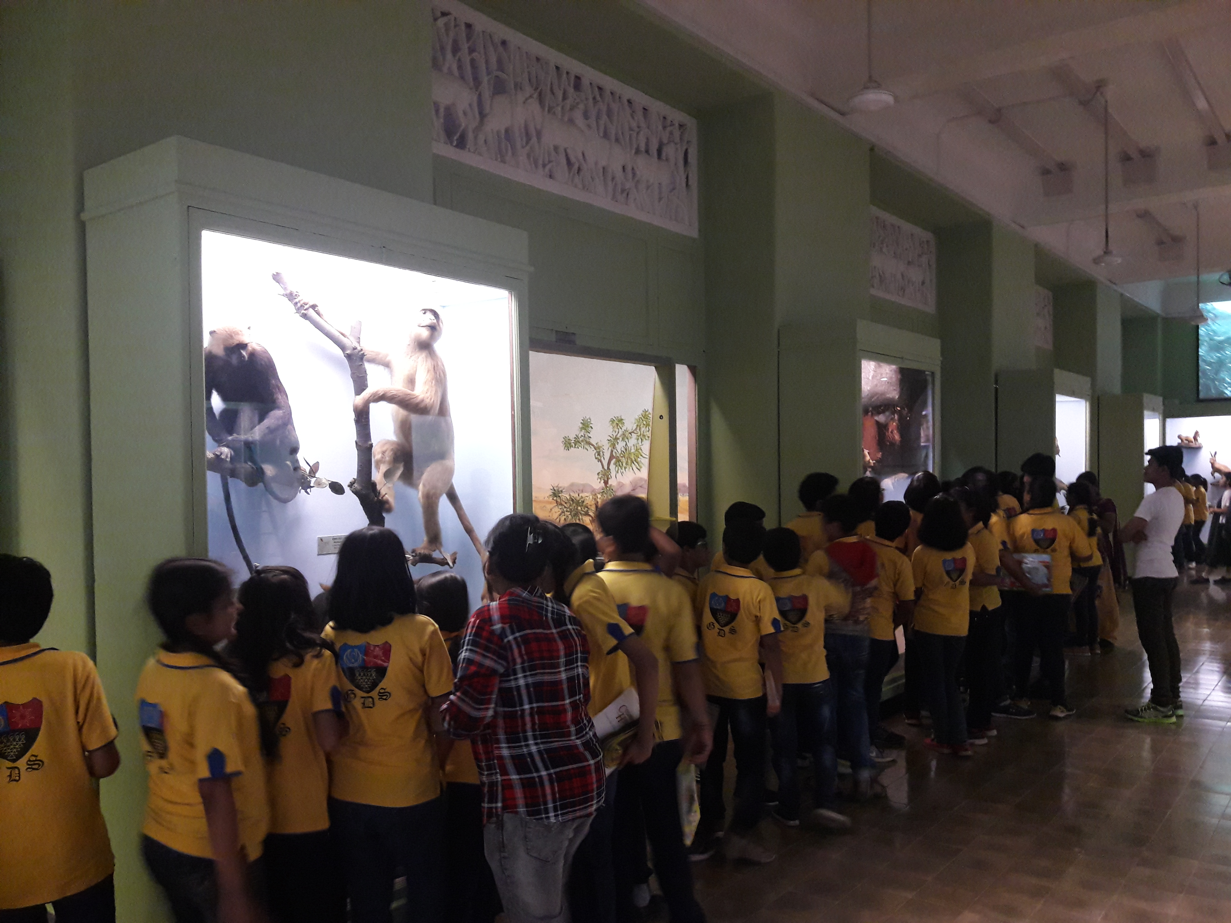 GDS Museum Tour