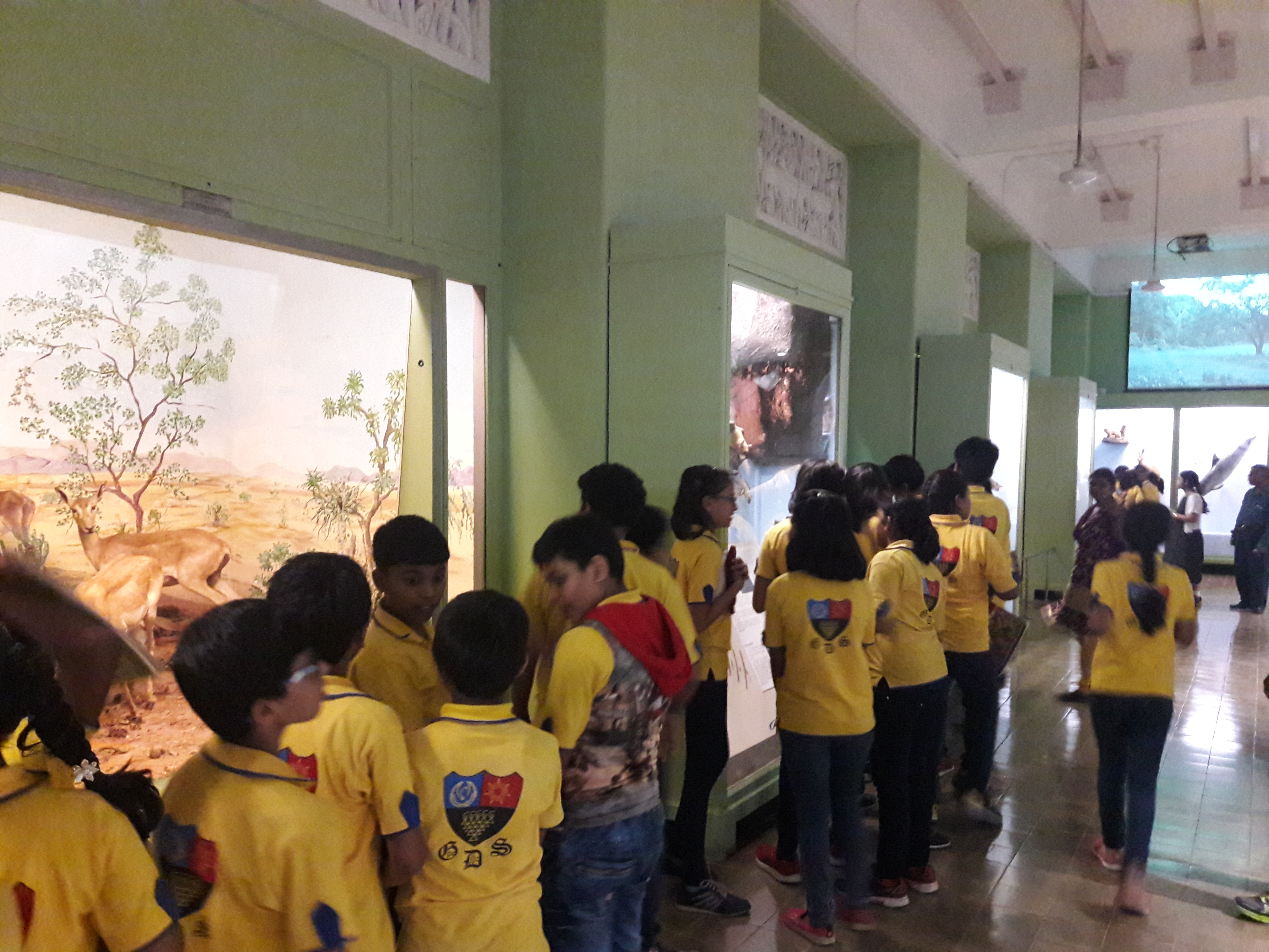 GDS Museum Tour