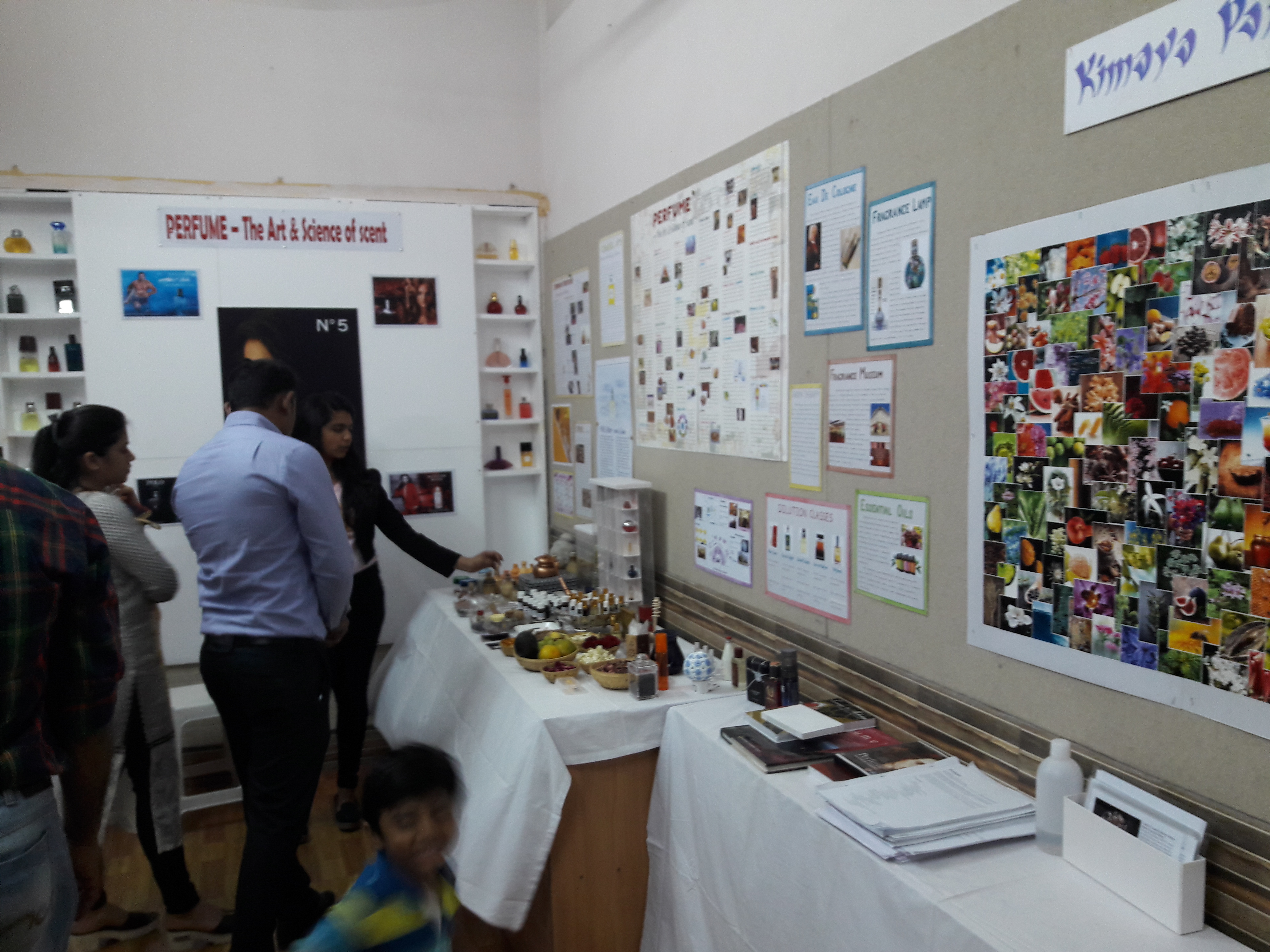 Mega Project 2017 Event photos