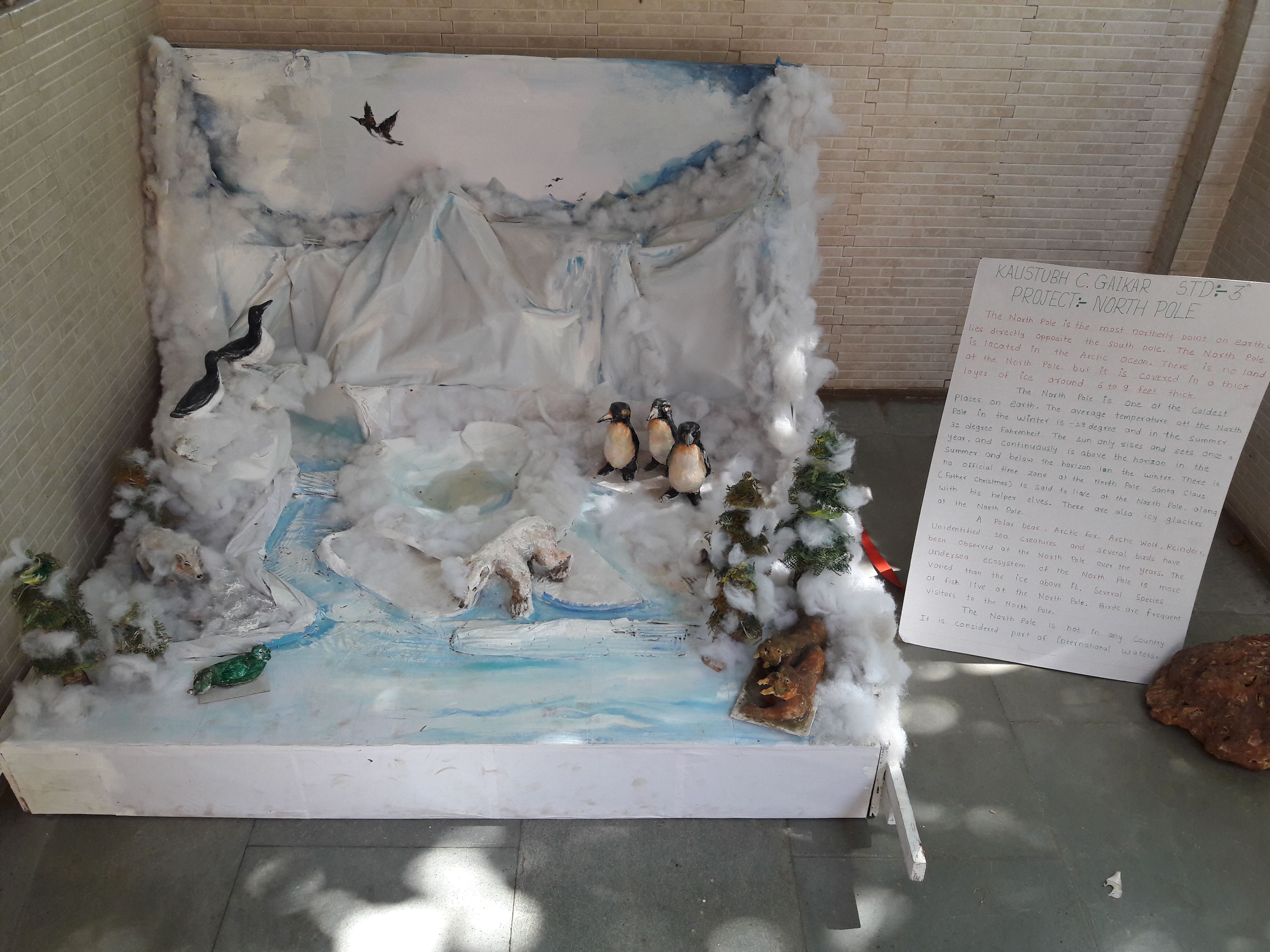 Some Projects by our students