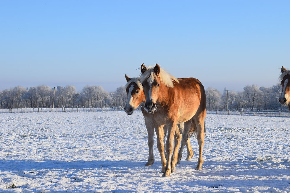 612112466_910497691304149_2809602560709034790_n