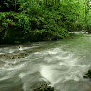 Summer on Massies Creek