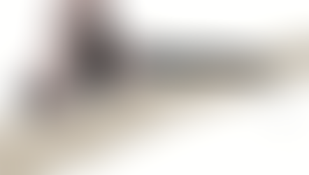 MBS: The Crown Prince of Controversy