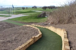 Cart path 2.jpeg