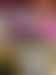 Boletín de prensa Querétaro: último llamado para el 8m