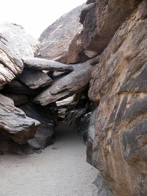 2025 Winter Movement Workshop 