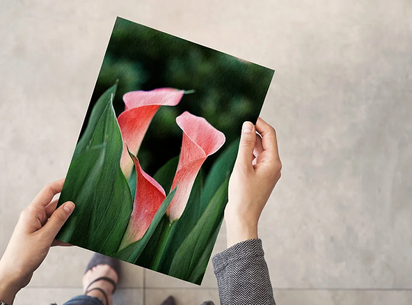 Are Art Prints Really Worth Anything? Or Are You Just Wasting Your Money