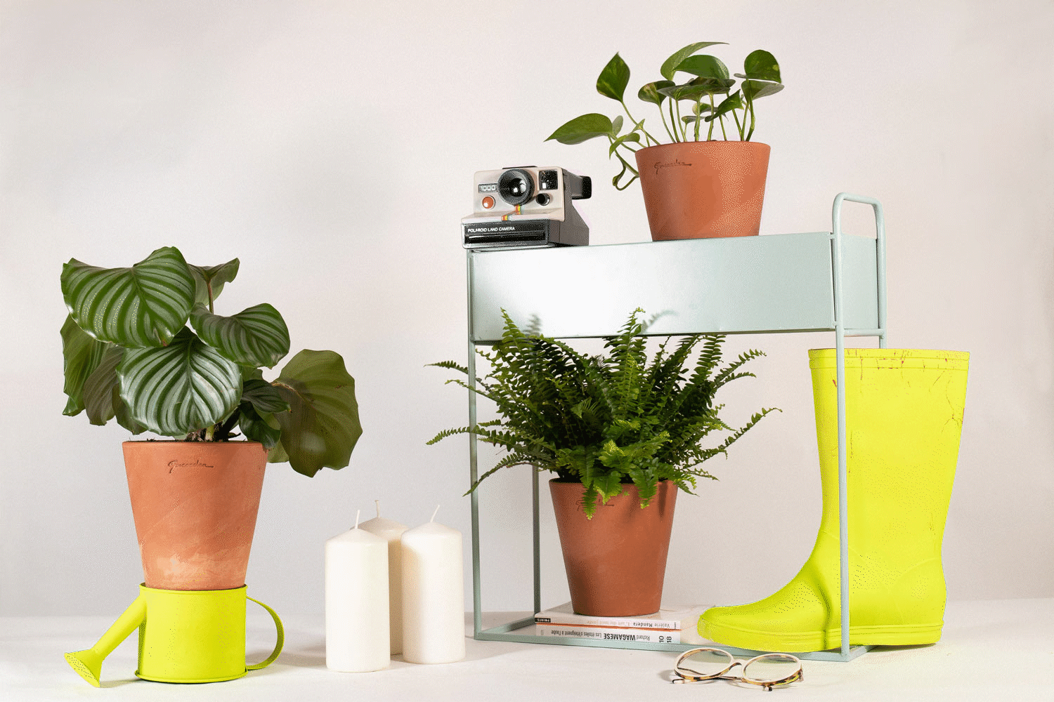CANOPEE-MOOD.gif