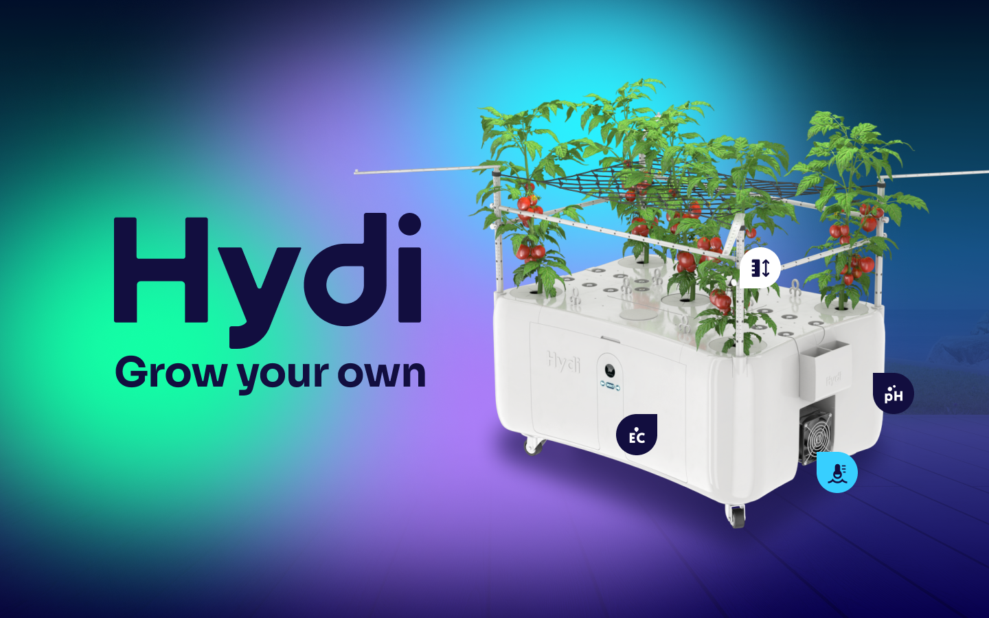 Hydi Waters