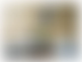 Oriented Strand Board (OSB)