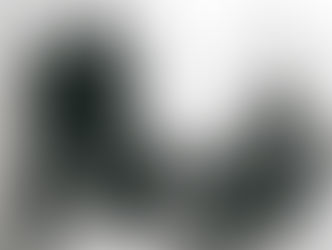 "Evocaciones del Quijote" de Luis Gómez Domingo