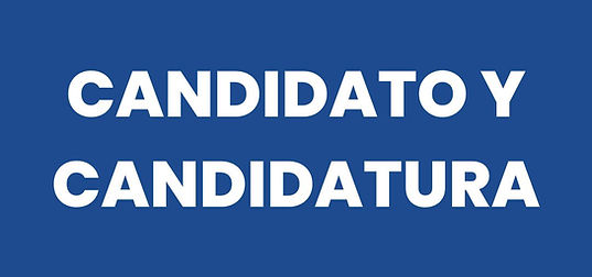 Post de Instagram Elecciones Minimalista Azul Amarillo Blanco.jpg
