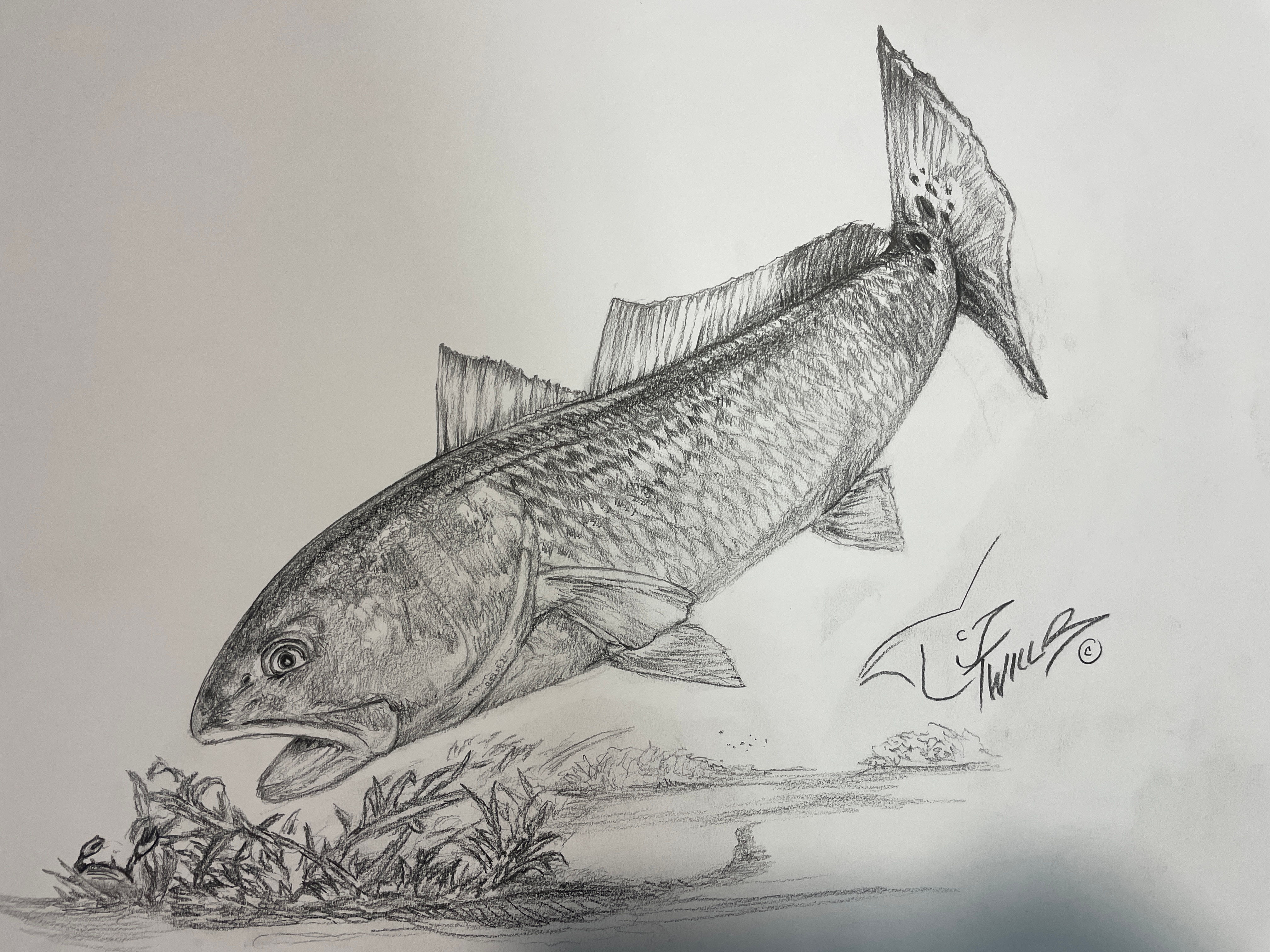 Redfish Pencil "Original"
