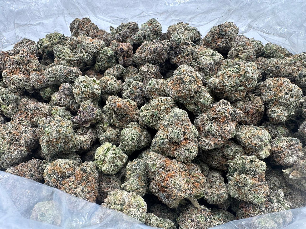 Frosted Popz  -AAA+++ Ultra Exotic  -Sativa  28.11% THCa