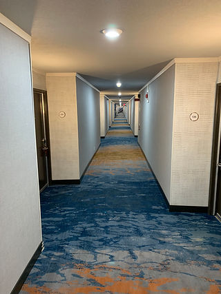 IMG_7003.jpeg