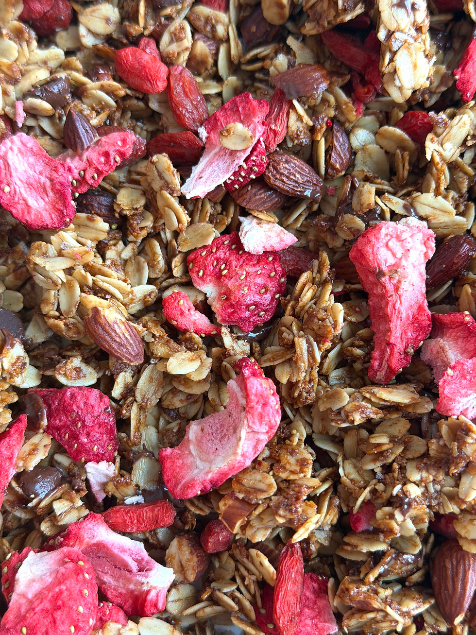 sally rychlak strawberry granola
