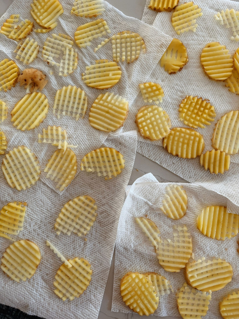 Sally Rychlak Homemade waffle fries