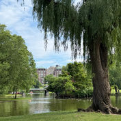 sally rychlak walking around the boston common