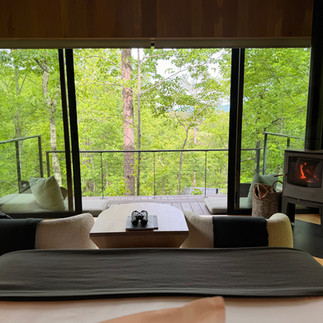 sally rychlak treehouse
