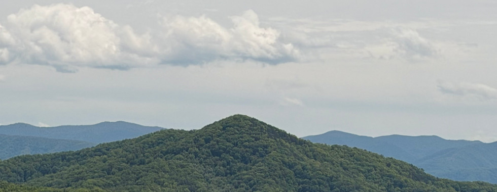 sally rychlak travel to blackberry mountain
