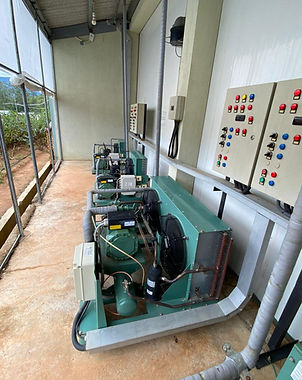 WhatsApp Image 2025-10-09 at 14.05.59.jpeg