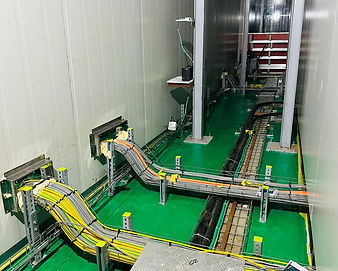 WhatsApp Image 2025-08-21 at 23.24.26.jpeg