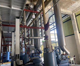 WhatsApp Image 2025-07-31 at 12.34.44 (2).jpeg