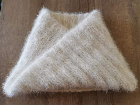 Christine HOS - Photo 1 SAA 2023.jpg