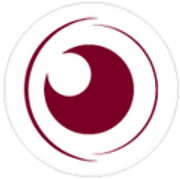 Primary Raster logo