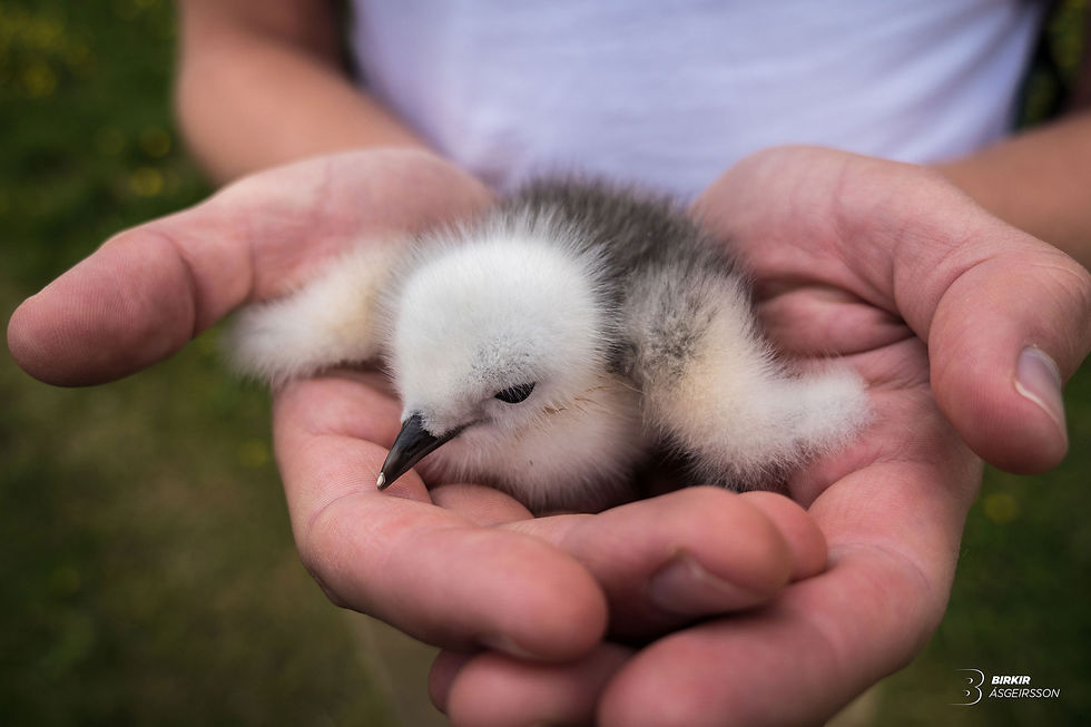 Fluffy little fella