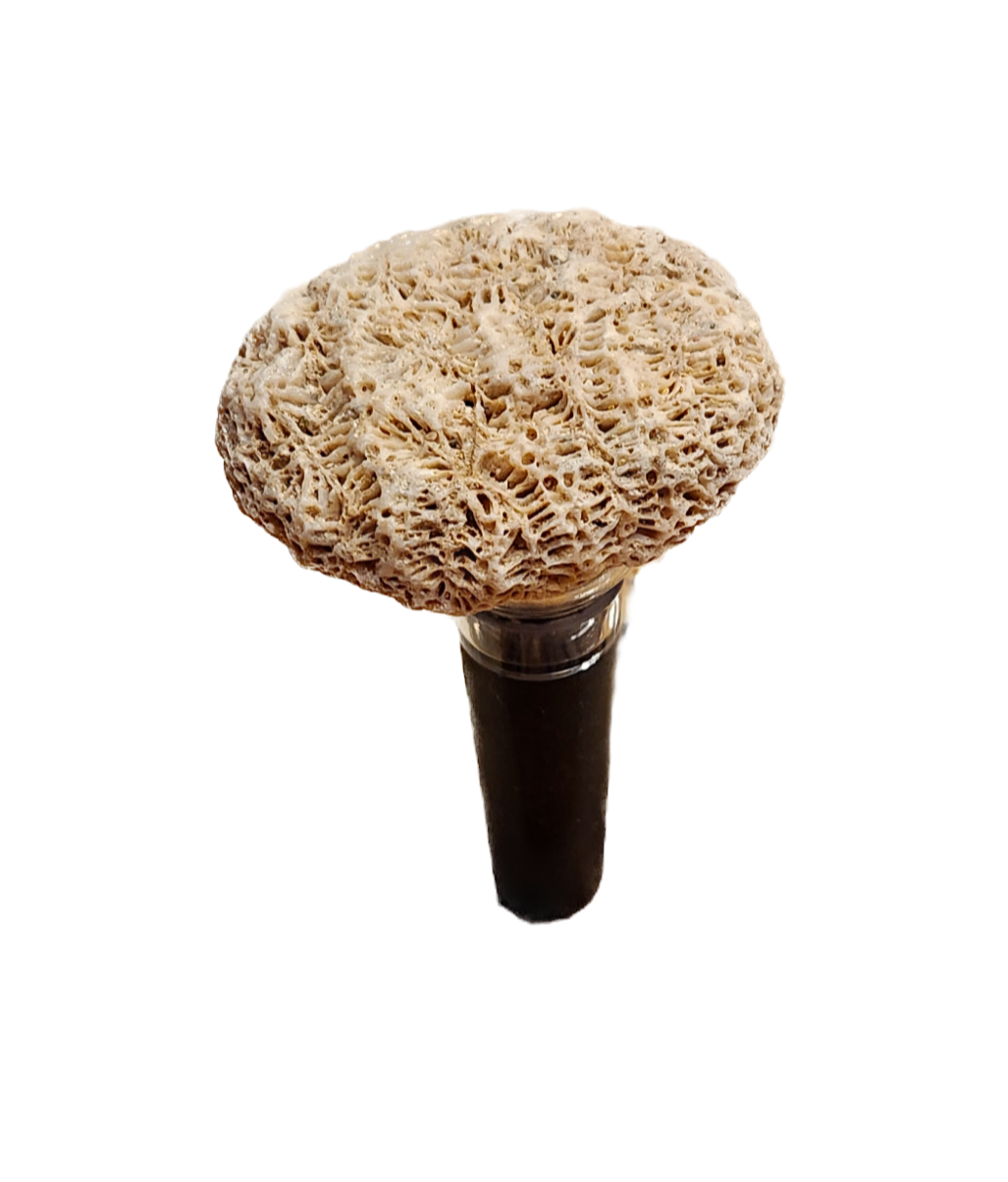 Coral stopper 3 (West Indies)