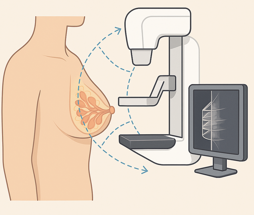 Illustrazione scientifica della tomosintesi mammaria che mostra il seno femminile durante una mammografia 3D, con raggi X e ricostruzione tridimensionale a strati.